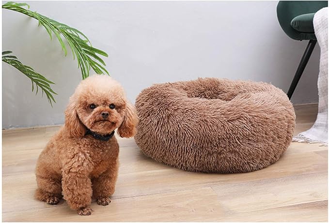 BODISEINT Modern Soft Plush Round Pet Bed for Cats or Small Dogs, Mini Medium Sized Dog Cat Bed Self Warming Autumn Winter Indoor Snooze Sleeping Cozy Kitty Teddy Kennel (24'' D x 8'' H, Coffee)