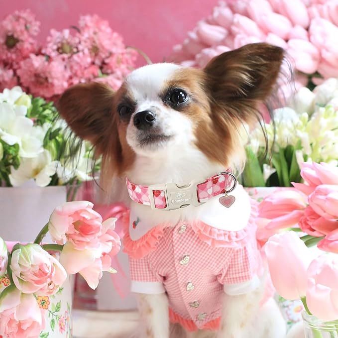 Valentines Dog Collar for Small Dogs - Cute Valentine Pink Hearts Girl Dog Collars, Adjustable Girly Puppy Collar with Quick Release Buckle for Female Dogs S