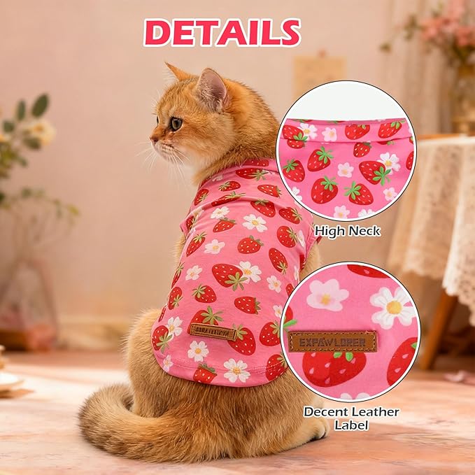 EXPAWLORER Soft Cat Sweater - Sweaters for Cats Only Warm Kitten Clothes, Fall and Winter Pet Coat Pullover Design, Fleece Sweatshirt Clothing Also for Puppy Small Dogs, Strawberry S