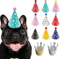 Dog Birthday Party Hat Set, Reusable & Adorable Kitty/Doggy Birthday Celebration Accessories, 1 Pack (9 Pet Hats & 2 Crowns) - Dirty Dog Goods