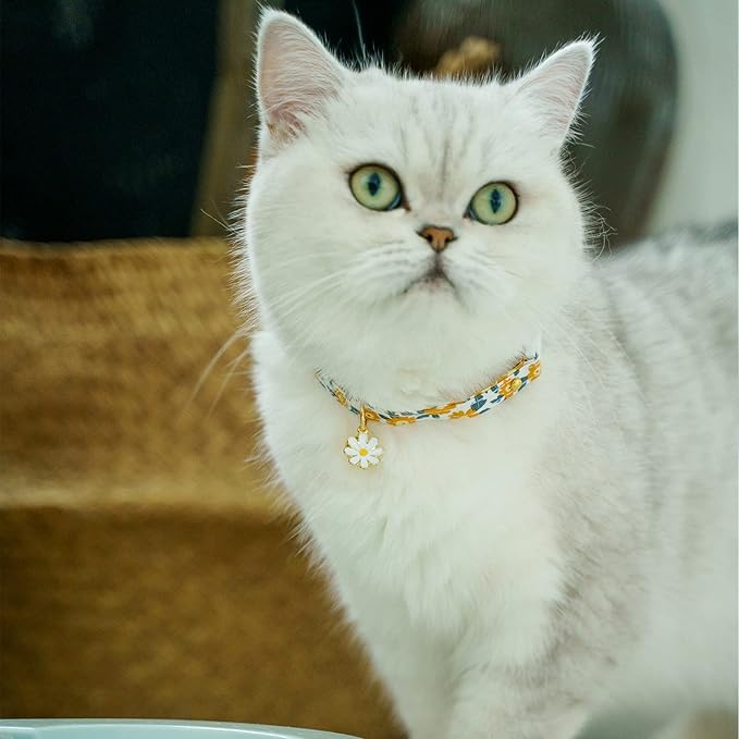 2 Pack Cotton Breakaway Cat Collars with Bell Daisy Pendant Kitty Kitten Collars Green Orange Collar for Female Girl Cats Male Boy Cats