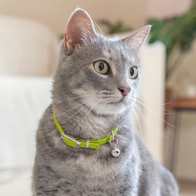 CollarDirect Leather Cat Collar with Bell - Kitten Collar, Small and Big Cat Collar for Boy Cats, Girl Cats with Safety Elastic Strap (Neck Fit 8"-11", Lime Green)