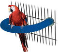 Rypet U Shape Parrot Perch Stand Toy for Paw Grinding Clean Stick Exercise, Rough-Surfaced Quartz Bird Perch Standing Cage Accessories for for Small Parakeets Cockatiels Conures Macaws Finches(Blue)