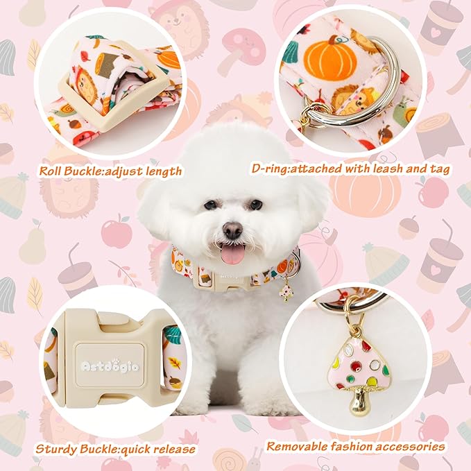 Spooky Halloween Dog Collar, Handmade Cotton with Bats & Pumpkins Pattern Pet Collar for Small Medium Large Dogs, Breathable, Adjustable & Comfortable Puppy Collar for Photos & Walks-S