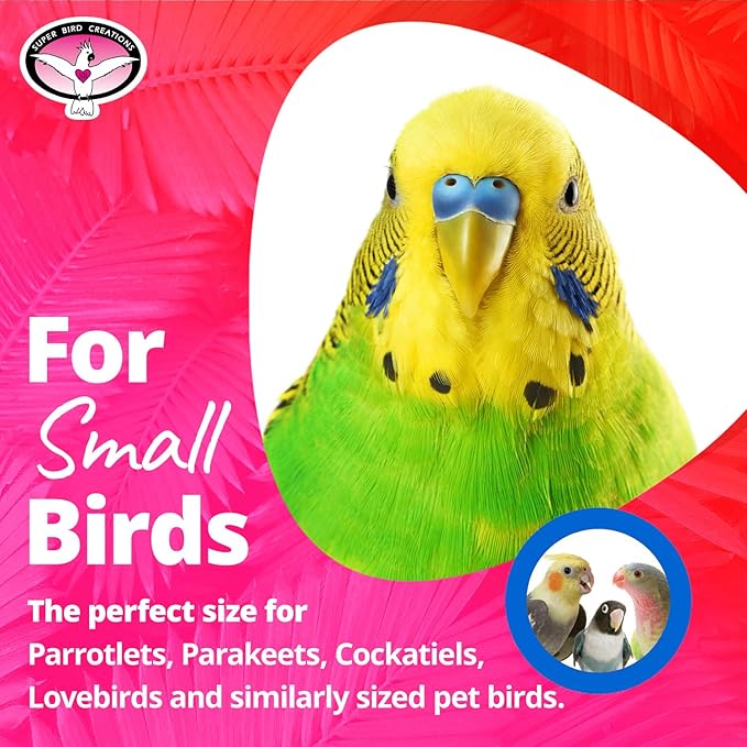 Super Bird Creations SB872 Mini Xmas Tree Bird Toy, Small/Medium Bird Size, 7" x 2"