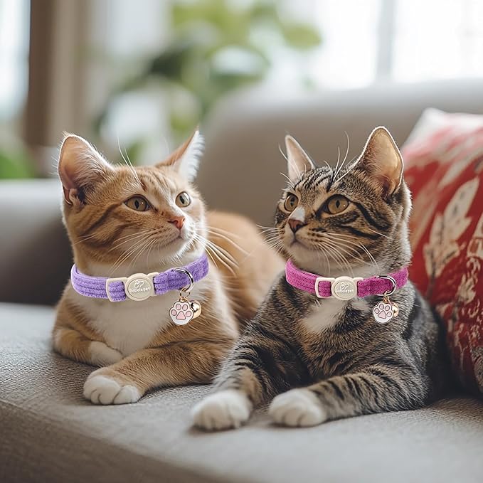 2 Pack Corduroy Cat Collars - Cute Breakaway Cat Collar with Bell and Paw Pendant, Soft Adjustable Fall Winter Kitten Collars for Girl Boy Cats, Lavender&Fuchsia