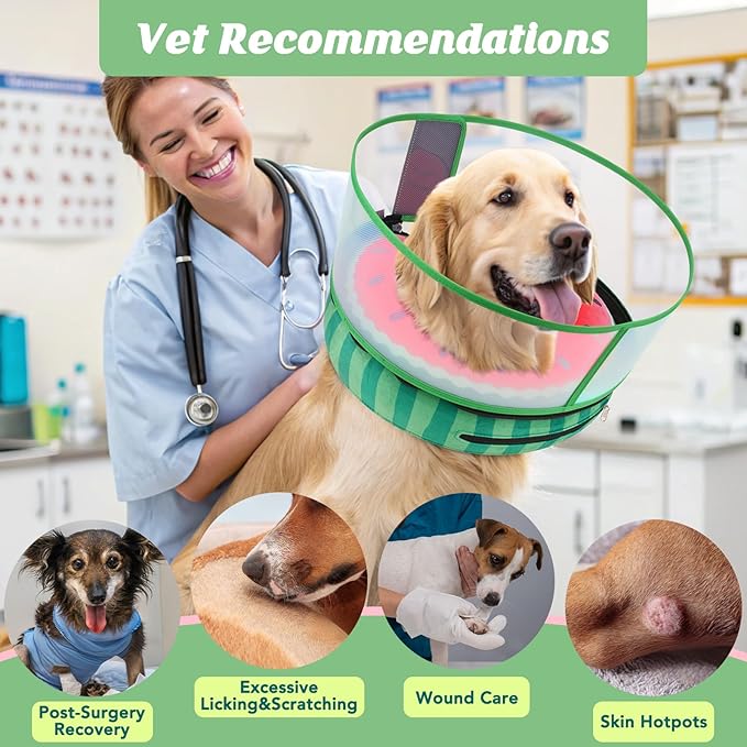 Inflatable Dog Cone with Anti-Licking Clear Shield, Protective Dog Donut Collar After Surgery, Adjustable Soft Recovery Cone for Pets, Alternative Collar with Buckle Strap (Watermelon, L)