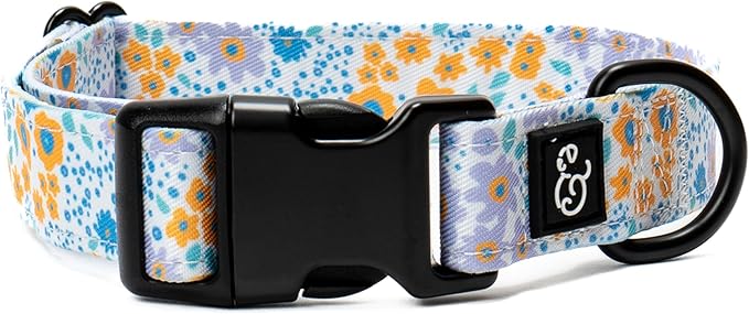 Lucy & Co. Among The Wildflowers Dog Collar - Durable Lightweight Designer Collar for Pets - Adjustable Metal Safety Buckle - Purple Floral - Large