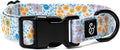 Lucy & Co. Among The Wildflowers Dog Collar - Durable Lightweight Designer Collar for Pets - Adjustable Metal Safety Buckle - Purple Floral - Small