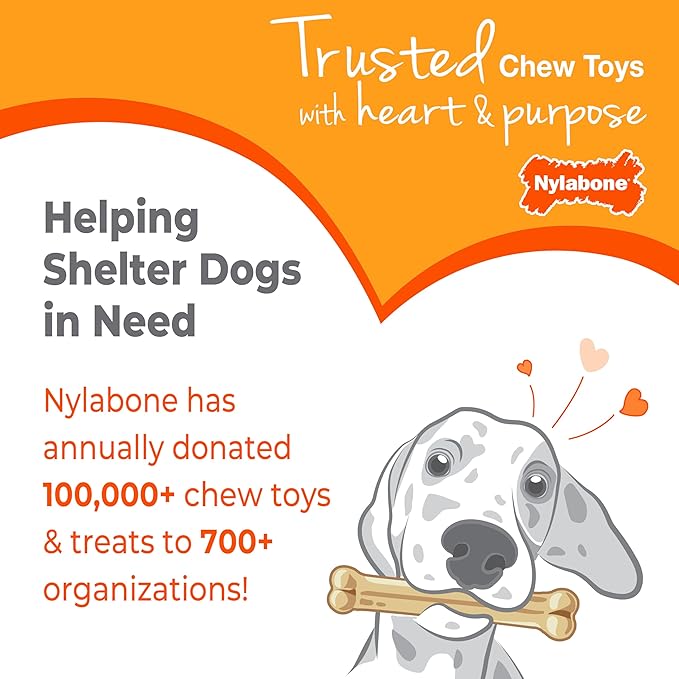 Nylabone Puppy Chew Key Ring Toy, Toys for Teething Puppies, Multi Color, Bacon Flavor, Small - Up to 25 lbs, 1 Count