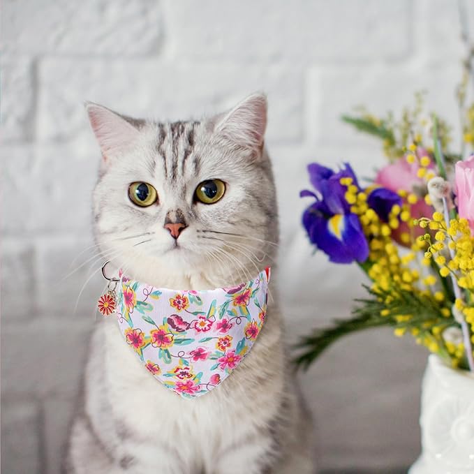 SCENEREAL Spring Cat Collar Breakaway with Bells, 2 Pack Cute Flower Pet Collar with Removable Bow Tie and Bandana, Adjustable Safety Buckle with Daisy Pendants for Girl Cats Kitten