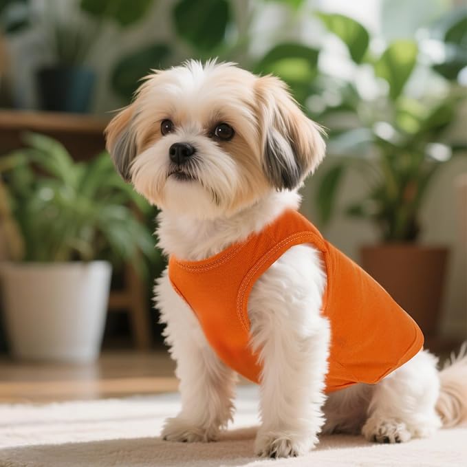 4 Pcs Cat Shirts Solid Color Dog Clothes Summer Sleeveless Pet T Shirts for Small Pet Dogs Cat (Black,Grey,Red,Orange, X-Large)