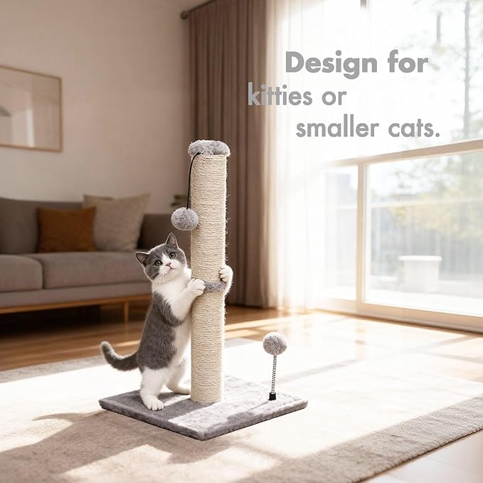 MECOOL Cat Scratching Post Premium Basics Kitten Scratcher Sisal Scratch Posts with Hanging Ball 22" for Kittens or Smaller Cats (22 inches for Kitten, Gray)