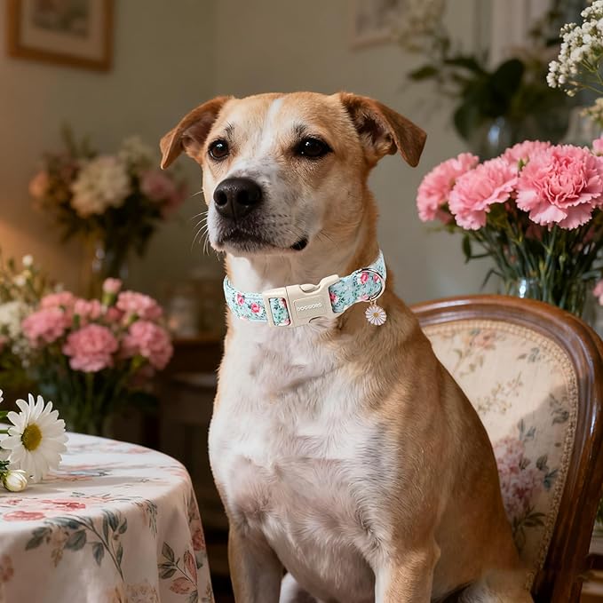 DOGWONG Floral Dog Collar, Cute Adjustable Flower Collar, Girl Female Dog Collar with Strong Plastic Buckle for Small Medium Large Dogs,S
