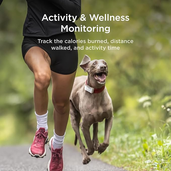 Petcube GPS Tracker for Dogs – Real-Time Location Tracking, Escape Alerts & Virtual Fences, Activity & Wellness Monitoring, Glow-in-The-Dark, Water & Dust Resistant