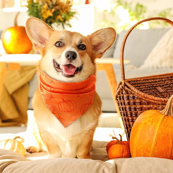 Chunful 100 Pieces Thanksgiving Dog Bandanas Bulk Fall Autumn Pet Bandanas with Pumpkin Patterns Triangle Scarf Bib Kerchief Set for Small Large Dog Costume Accessories (25.6 x 17.7 x 17.7)