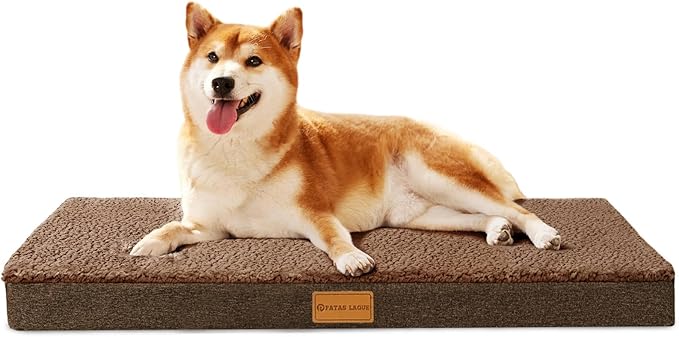 Patas Lague Orthopedic Dog Bed Large Sized Dog 36''X24'',Soft Waterproof Egg Crate Foam Medium Pet Crate Beds Mat with Removable Washable Cover and Non-Slip Bottom, Brown