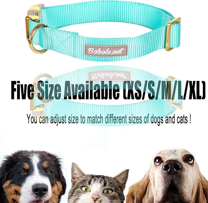 Nylon Dog Collar - Adjustable Lake Blue Soft Webbing Dog Collars for Small Medium Large Dogs Boy Girl Puppy Collar with Safety Metal Buckle XS