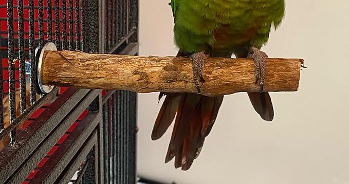 Polly's Hardwood Bird Perch, X-Small