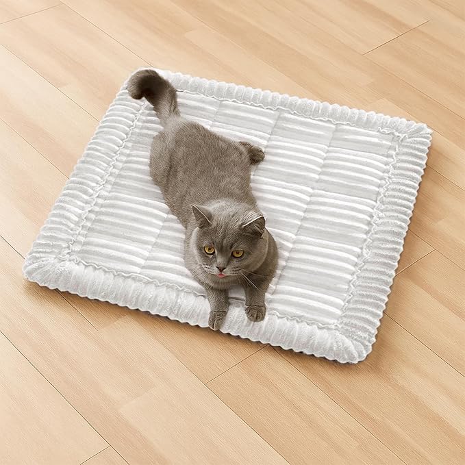 FUNNY FUZZY Pet Couch Covers for Sofa, Washable Dog Couch Cover Protector for Dogs, Flannel Couch Covers for Dogs Pet Friendly Pets Mat Bed (White, 19.7"x19.7")