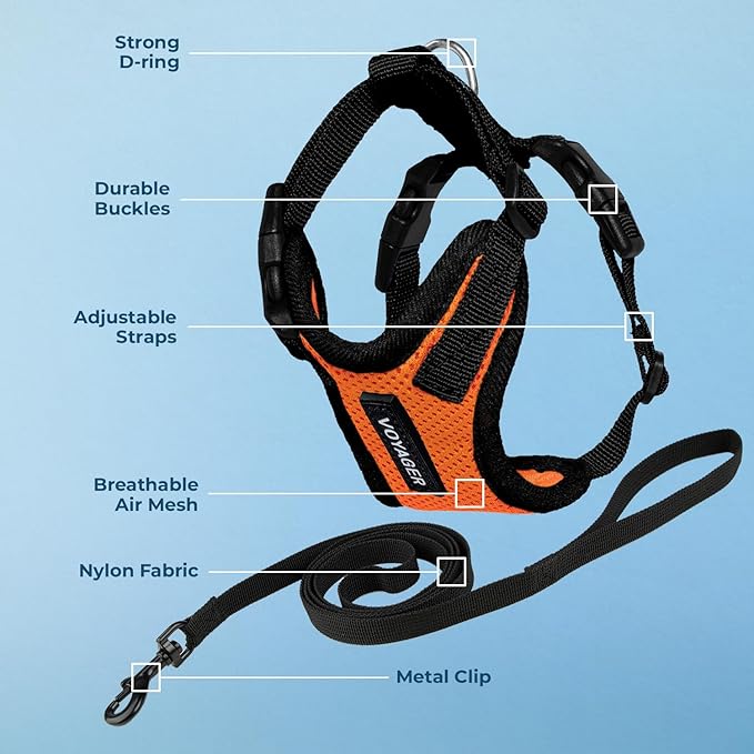Voyager Escape-Proof Step-in Lock Cat Harness & 5ft Neoprene-Handle Leash Set All-Weather Mesh with Reflective Stitching for Small to Large Cats by Best Pet Supplies, Orange/Black Trim, XS