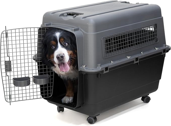 SportPet Airline Compliant X-LARGE 32.25" Travel Dog Kennel-Durable Plastic Airline Pet Carrier w/Removable Wheels & Food Bowls, Collapsible Indoor/Outdoor Dog Kennel, Dogs up to 32"L & 23"H-Dark Gray
