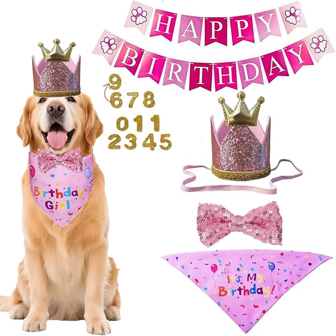 Happy Birthday Dog Party Supplies Kit - Dog Party Hat, Bandana, Bowtie & Happy Birthday Banner Decorations for Small Dogs, Puppy Birthday Outfit Accessories & Pet Birthday Party Decor (Pink 2)