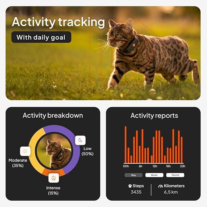Weenect Cat XS - New GPS Tracker for Cats | Real-time Mini GPS Tracker for Cats | Smallest Model on The Market | Collar Included | Subscription Required (Black, Tracker XS)