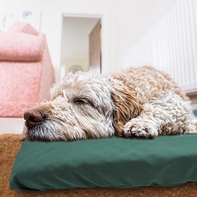 Dog Bed Cover Waterproof Replacement Machine Washable Covers for 44x32 Inch Dog Bed Heavy Duty Scratch Resistant Mattress Protector Pet Bed Cover Only Dark Green