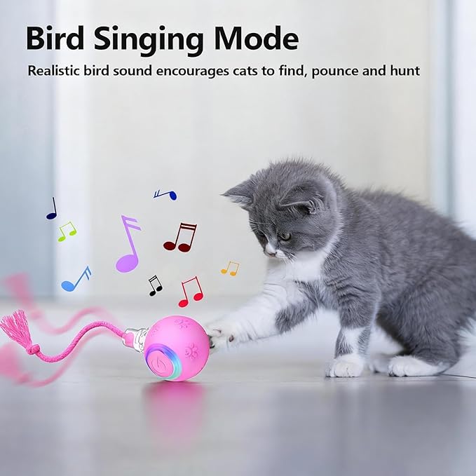 FUNNYDUCK Speed 2.0 Tail Interactive Cat Toy – Motion-Activated Rolling Ball with Chirping Sounds, USB Rechargeable Smart Ball Toy for Indoor Cats & Kittens, Enrichment & Exercise