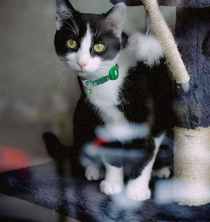 Airtag Cat Collar Breakaway, Safety Kitten Collar with Apple Airtag Holder,Cute GPS Cat Collar with Bell, Lightweigh Tracker Cat Collars for Girl Boy Cats, Kittens and Puppies