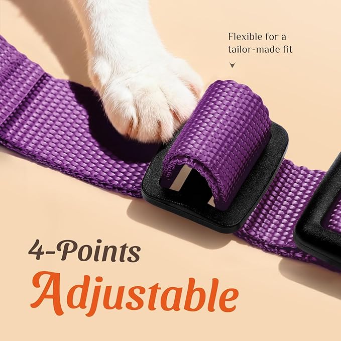 Dooradar Cat Harness and Leash Set, Escape Proof Safe Adjustable Kitten Vest Harnesses for Walking, Easy Control Soft Breathable Mesh Jacket with Reflective Strips for Cats, Purple, M