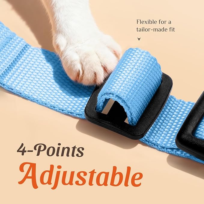 Dooradar Cat Harness and Leash Set, Escape Proof Safe Adjustable Kitten Vest Harnesses for Walking, Easy Control Soft Breathable Mesh Jacket with Reflective Strips for Cats, Light Blue, M