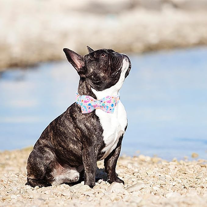 Lionheart glory Dog Bow Collar Sea Animals Print Pink Dog Collar for Large Dogs,Female Male Dog Collars with Bowtie Spring Summer Collars Soft Adjustable Pet Collar Bows