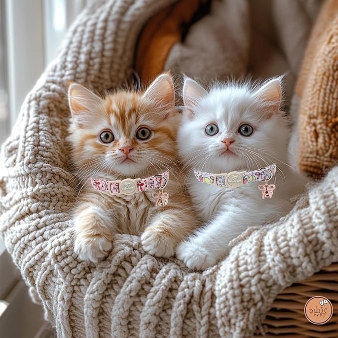 2 Pack Sweet Girly Cat Collars - Elegent Bow Breakaway Cat Collar with Bell & Matching Pendant, Adjustable Spring Summer Pink Purple Kitten Collars for Girl Cats