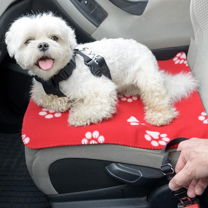 Tatuo 10 Pieces Pet Blankets with Paw Print Dog Cat Fleece Blankets Soft Warm Sleep Mat Pad Bed Cover for Kitten Puppy and Other Small Animals, 24 x 28 Inch(Passionate Color)