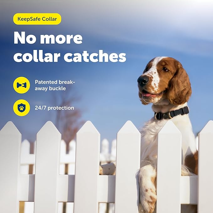 PetSafe KeepSafe Collar for Dogs - Protects Against Collar Accidents - Long Lasting - Durable - Adjustable - Breakaway - Outdoor-Safe - Large - 1 In. Wide - Black