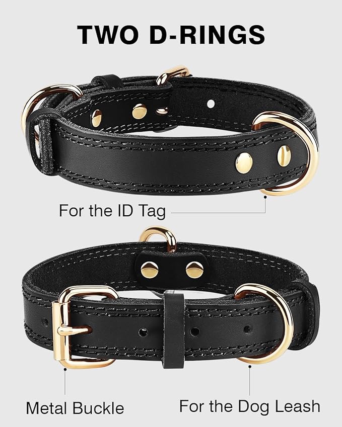 Joytale Leather Dog Collar for Small Dogs, Genuine Solid Sturdy Leather for Active Small Breeds, Adjustable Metal Pin Buckle, Durable and Secure Pet Collar for Daily Use, Black, XS