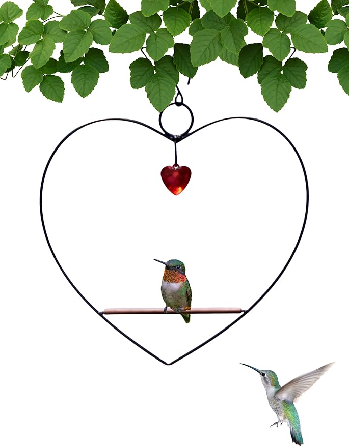 Songbird Essentials Hummingbird Swing - Tweet Heart Birdie Swing - Black Metal Hummingbird Perch