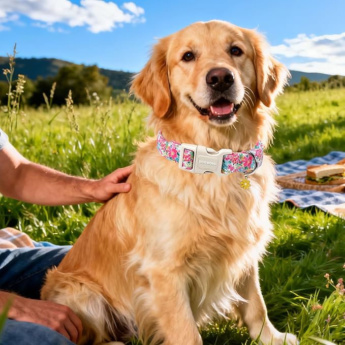 DOGWONG Spring Flower Dog Collar-Cute Floral Daisy Dog Collar, Adjustable Soft Girl Female Dog Collar for Small Medium Large Dogs, XL