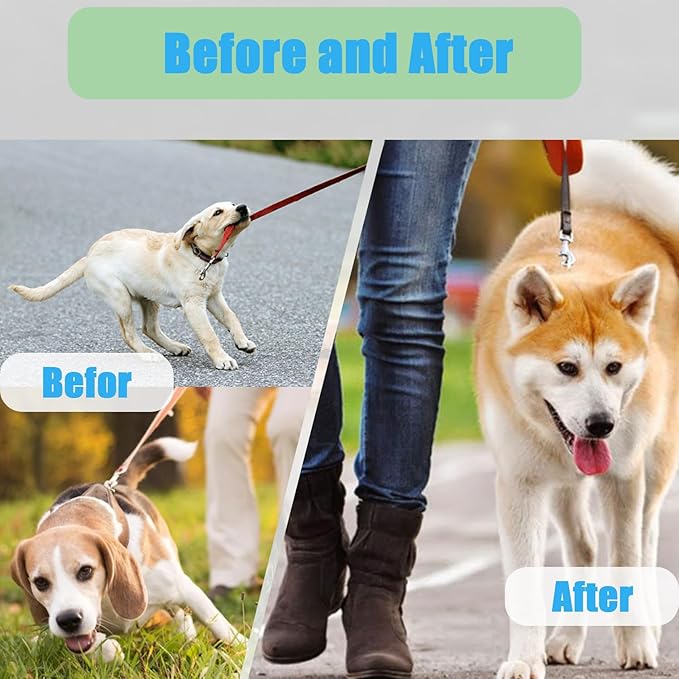 Adjustable Collar with Quick Release Buckle Collars for Small Medium Large Dogs