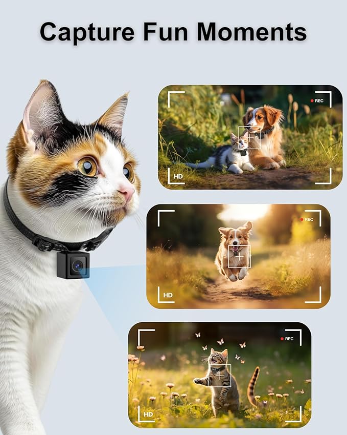 Dog Camera Collar 1080P HD Video Recording Pet POV Cam, NO WiFi NO APP, Body Camera for Dogs(No Micro-SD Card Included)