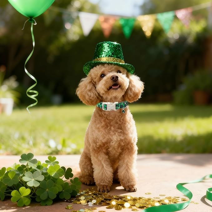 St Patricks Day Dog Collar for Medium Dogs - Green Lucky Clover Dog Collars, Lightweight Adjustable Irish Festival Shamrock Dogs Collars with Quick Release Buckle M