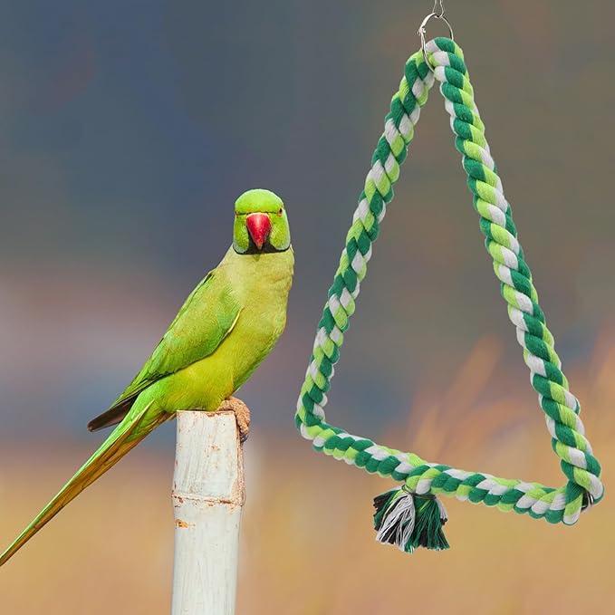 Wontee Bird Swing Bird Rope Perch Parrot Climbing Stand for Parakeets Budgies Cockatiel Conure Quaker Caique (M(9.8IN, 9.8IN))