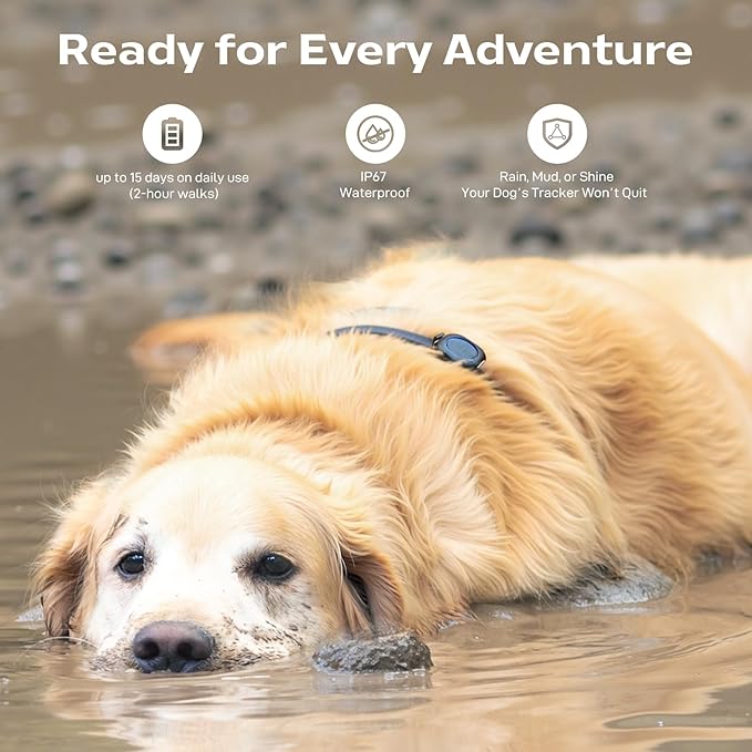 Aorkuler GPS Dog Tracker – Track Your Dog Up to 3.5 Miles Without Phone or Cell Signal | No App, No Monthly Fees | Ideal for Hiking, Rural & Remote Areas (Tracker 2)