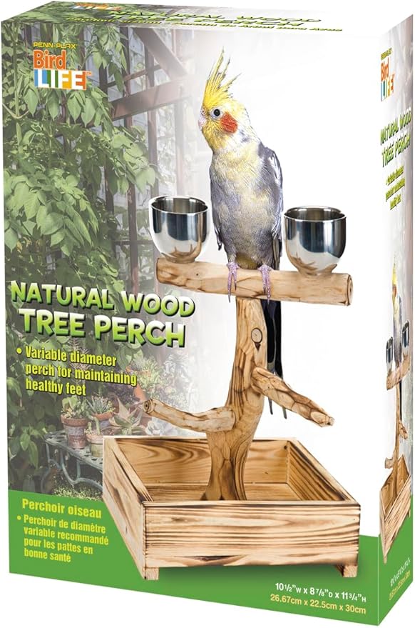 PENN-PLAX Bird-Life Natural Wood Tree Perch for Small and Medium Birds – Includes Food and Water Bowls with Drop Tray – Medium