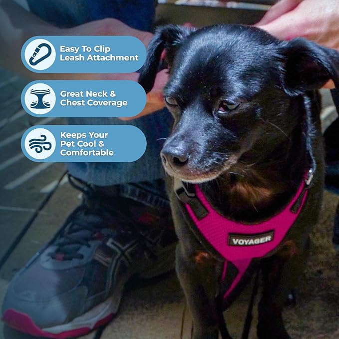 Voyager Step-in Pet Harness - All Weather Mesh, Adjustable Step in Harness for Cats and Dogs by Best Pet Supplies - Fuchsia/Black Trim, XS