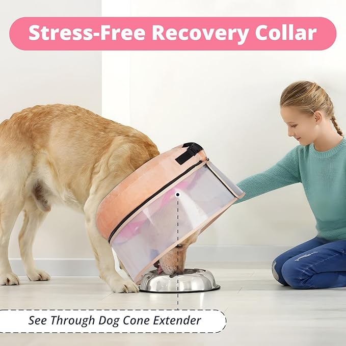 Inflatable Dog Cone with Transparent Shield, Protective Dog Donut Collar After Surgery to Stop Licking, Soft Donut Cone for Large Pets, Adjustable Recovery Collar with Buckle Visibility