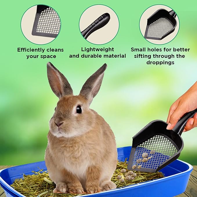 SunGrow Reptile Litter Scoop, Pointed Edge for Terrariums, Right-Angled Deep Shovel for Reptiles & Cats, Durable Plastic, Black, 1 Pack