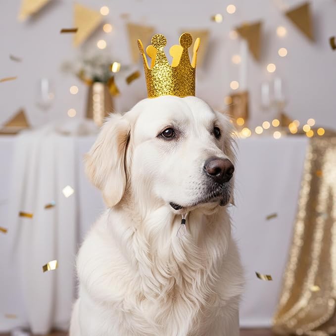 Gold Dog Birthday Crown, 3.54 Inch Height Glitter Pet Crown, Mini Party Hat for Cat Stuffed Animals, Small Puppy Kitten 1st Birthday Celebration, Adjustable Elastic Strap, Photoshoot Props, 1 PC